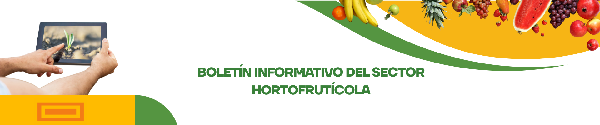 Diseño sin título (2)